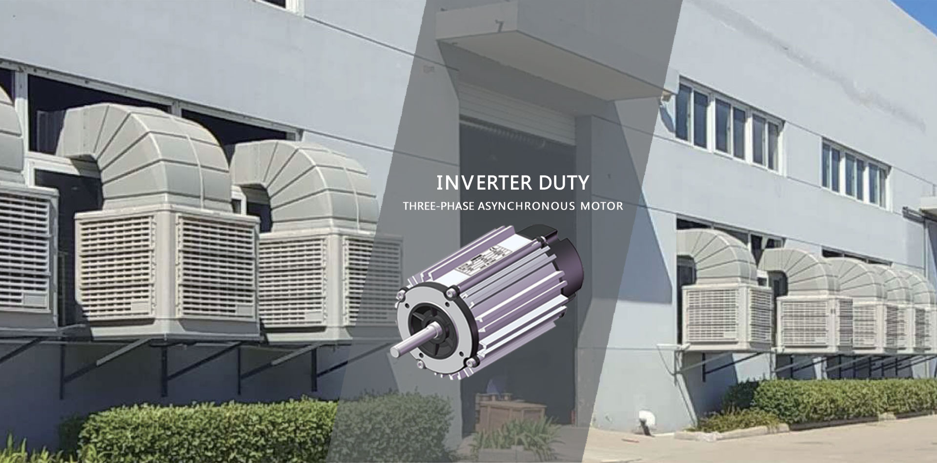 国内首位EV行业